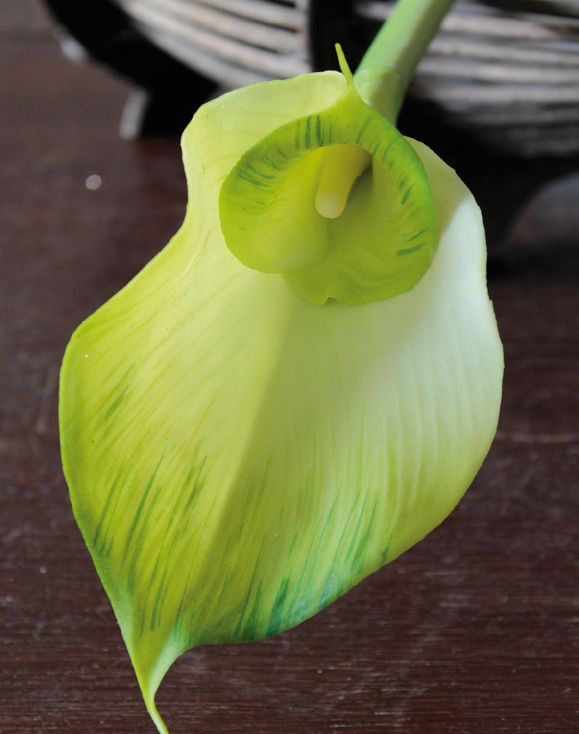 3807 807 a2 Искусственная зантедеския 'double', 77 см, real touch, зелено-белый H-andreas  - Вид №1