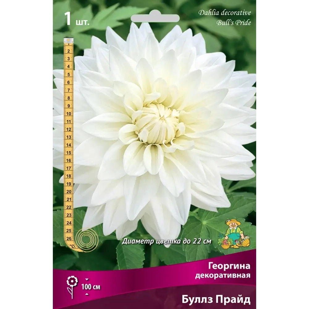 Георгина декоративная Буллз Прайд луковица I 83593755 STLM-2117938 Santreyd 