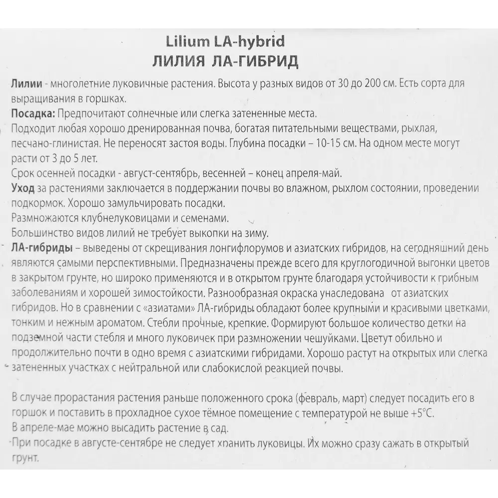 Лилия ла-гибрид Ориндж Кокот 85205742 STLM-2193234 ПОИСК  - Вид №3