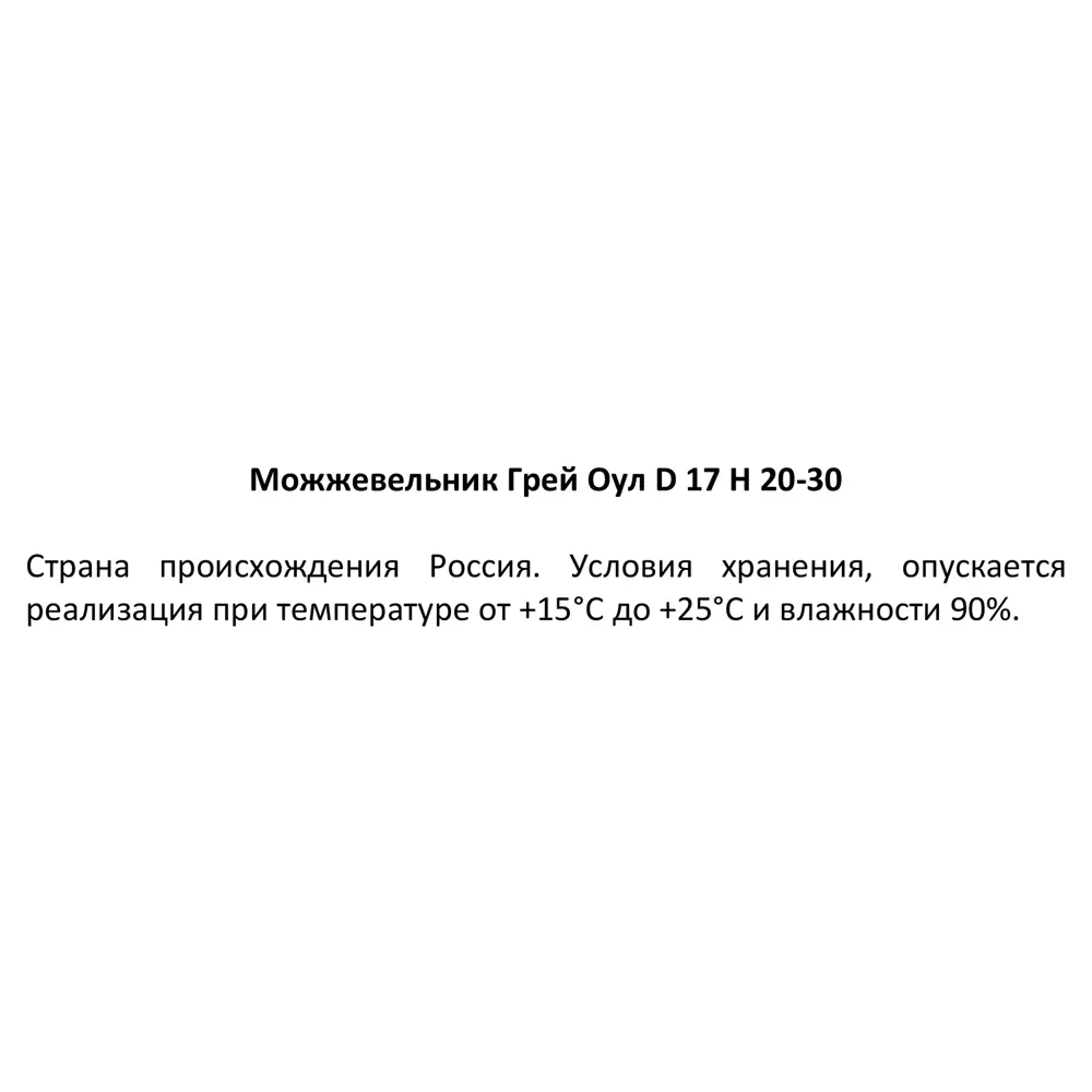 Можжевельник Грей Оул ø17 h20-30 см 84173570 STLM-2144946 Santreyd  - Вид №2