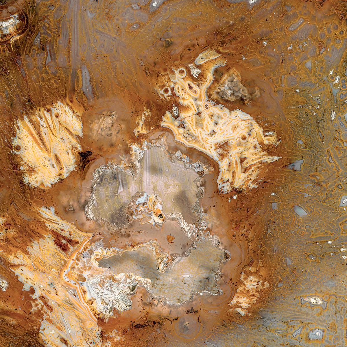 SICIS Vetrite Dulcinea Corteza Brown ДЕКОРАТИВНЫЙ VETRITE sun-id-1991316 - Вид №3