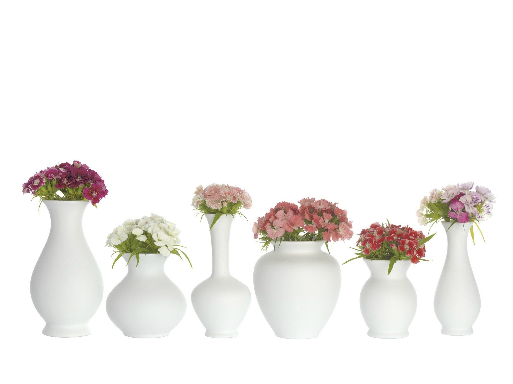 Сосуд Schonbuch BLOSSOM ARCH-00140695