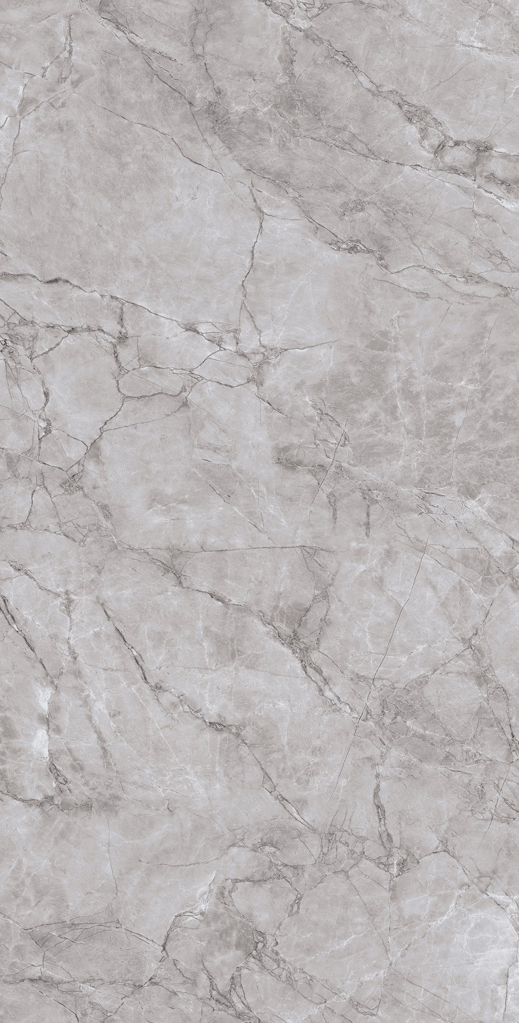 Керамогранит ARCTIC GREY LAPPATO 60х120 Arcadia Ceramica CL4005-A - Вид №6