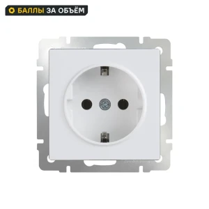 Розетка встраиваемая Werkel с заземлением цвет белый 84491707 STLM-2185156