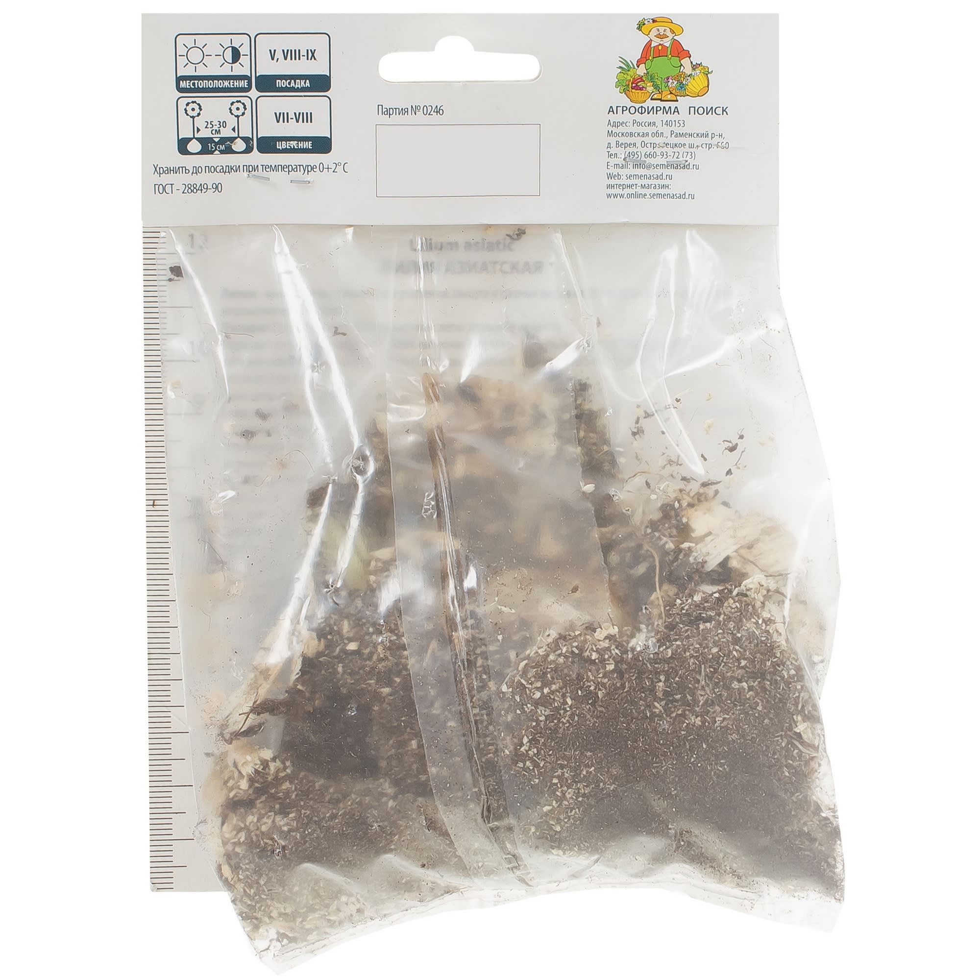 81945453 Лилия азиатская «Форевер Сьюзан» Santreyd  - Вид №1