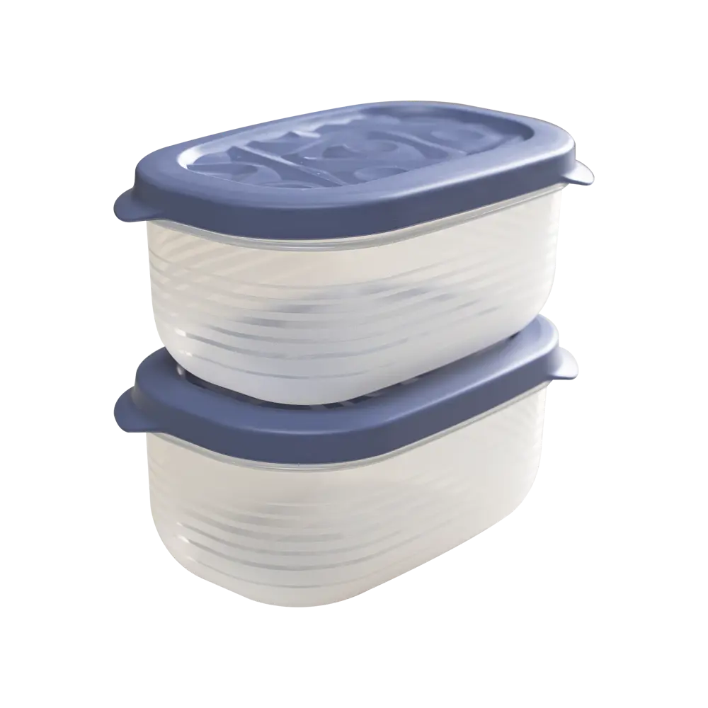 Контейнер для пищевых продуктов Флексо 650 мл полипропилен синий 2 шт Santreyd STLM-2047330