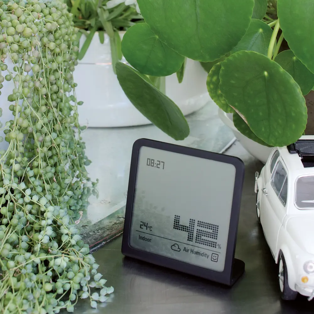 Гигрометр Stadler Form Selina цвет черный STLM-2084390 - Вид №3