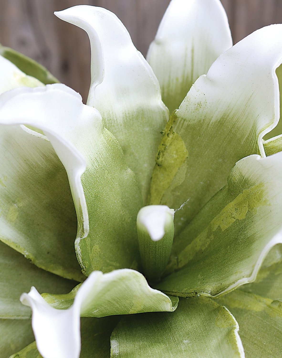 7898 807 a3 Искусственный протея мягкий цветок, 38 см, зелено-белый H-andreas  - Вид №2