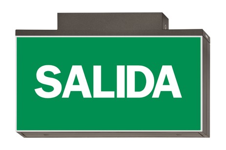 DST-2768 Lisu ceiling-mounted Daisalux Светильники сигнальные Металлический Серый 