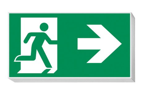 DST-481 Lisu Daisalux Светильники аварийные Серебристо-Серый 