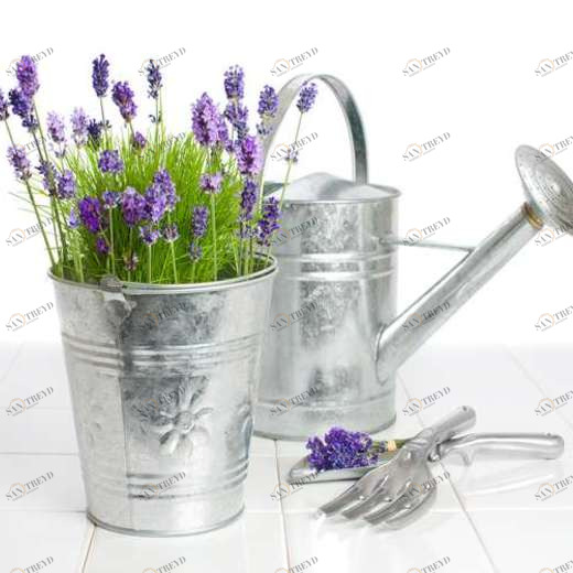 WP01591 Фотообои Verol Фотообои decoline 1х1 м