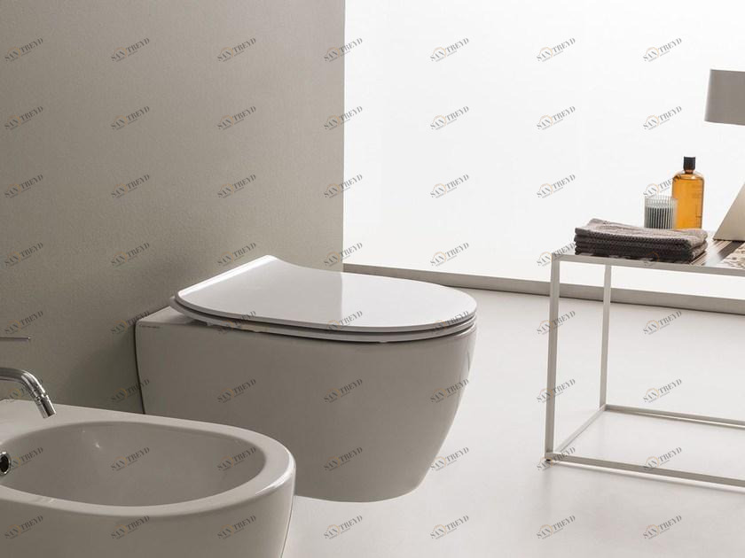 5520 Подвесной унитаз настенный Белый Scarabeo Ceramiche Moon Италия