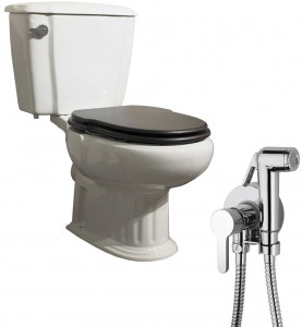 NC888661aosta Компакт унитаз с бачком Белый Paini  Италия;Португалия