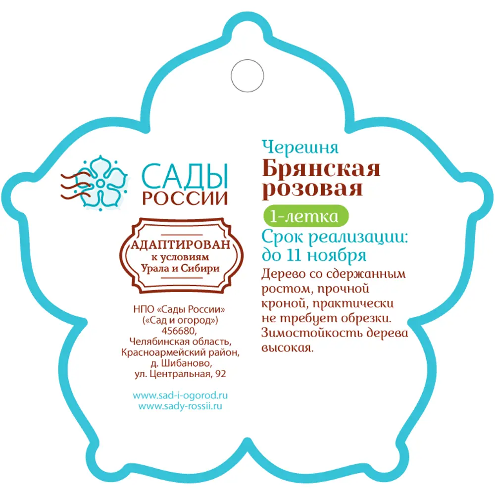 Черешня «Брянская розовая» 1 год 12.5x30-50 см 82610474 STLM-2202906 Santreyd  - Вид №1