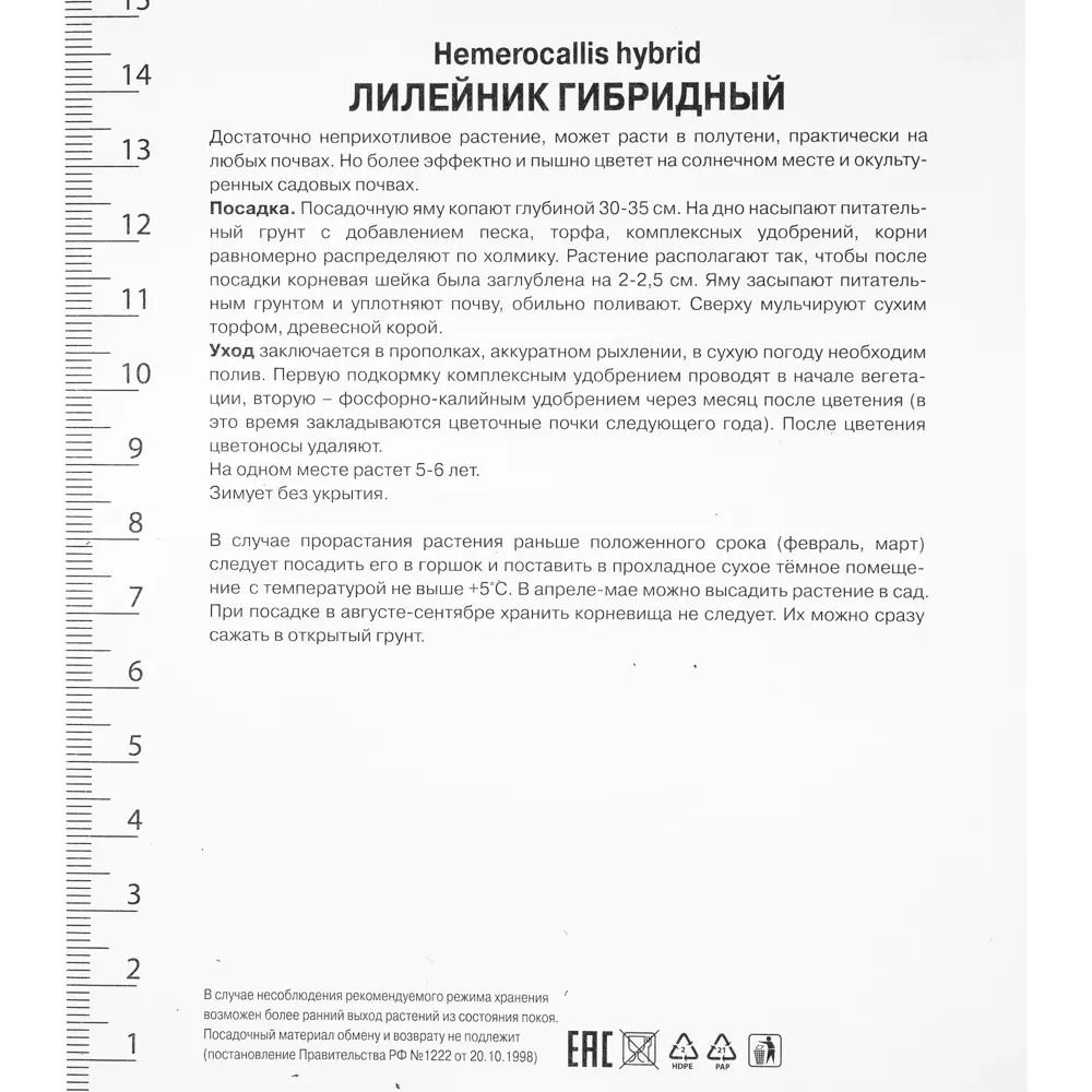 Лилейник гибридный «Хевенли Флайт Ов Энджел», 1 шт. 82118725 STLM-2104990 Santreyd  - Вид №1