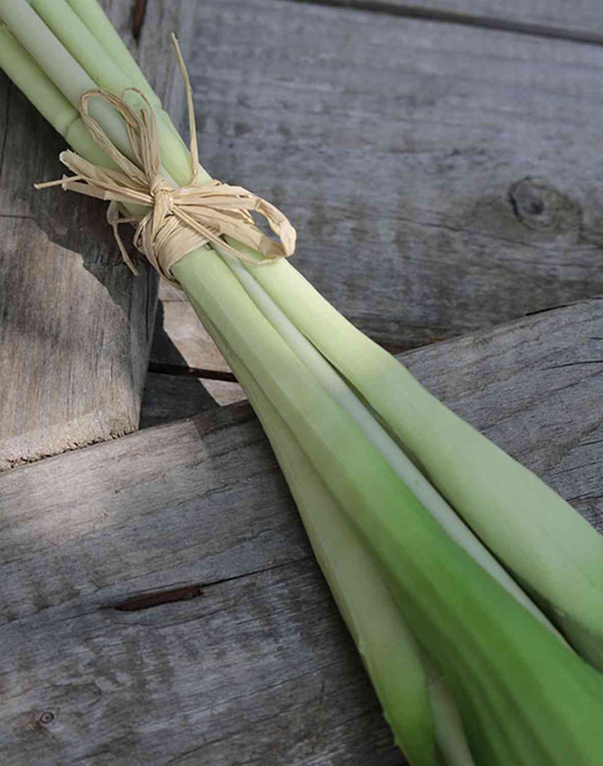 2951 515 a3 Искусственный попугай букет тюльпанов, 5-кратный, 47 см, розовый H-andreas  - Вид №1