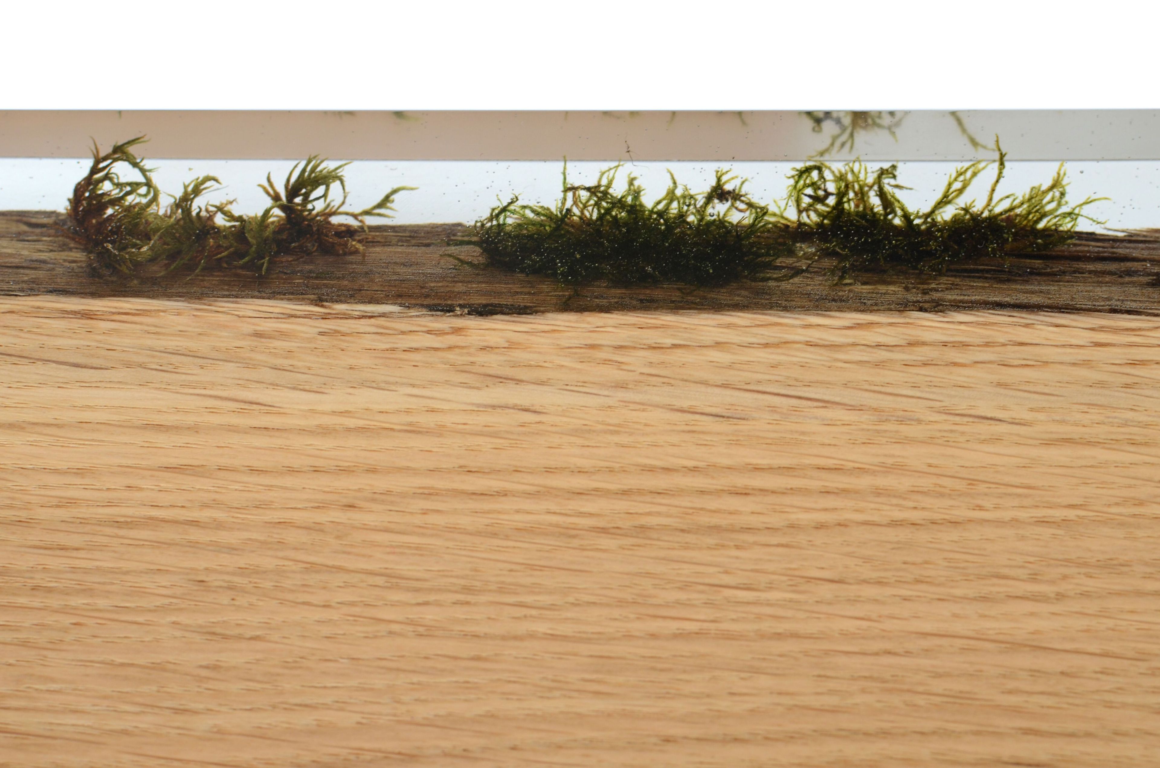 Модульная полка из массива дерева alcarol Undergrowth ARCH-00035839 - Вид №5