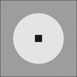 MiniTondo D 300 Ghidini Tondo Dark .05 Темно-Cерый (Матовый)  - Вид №2