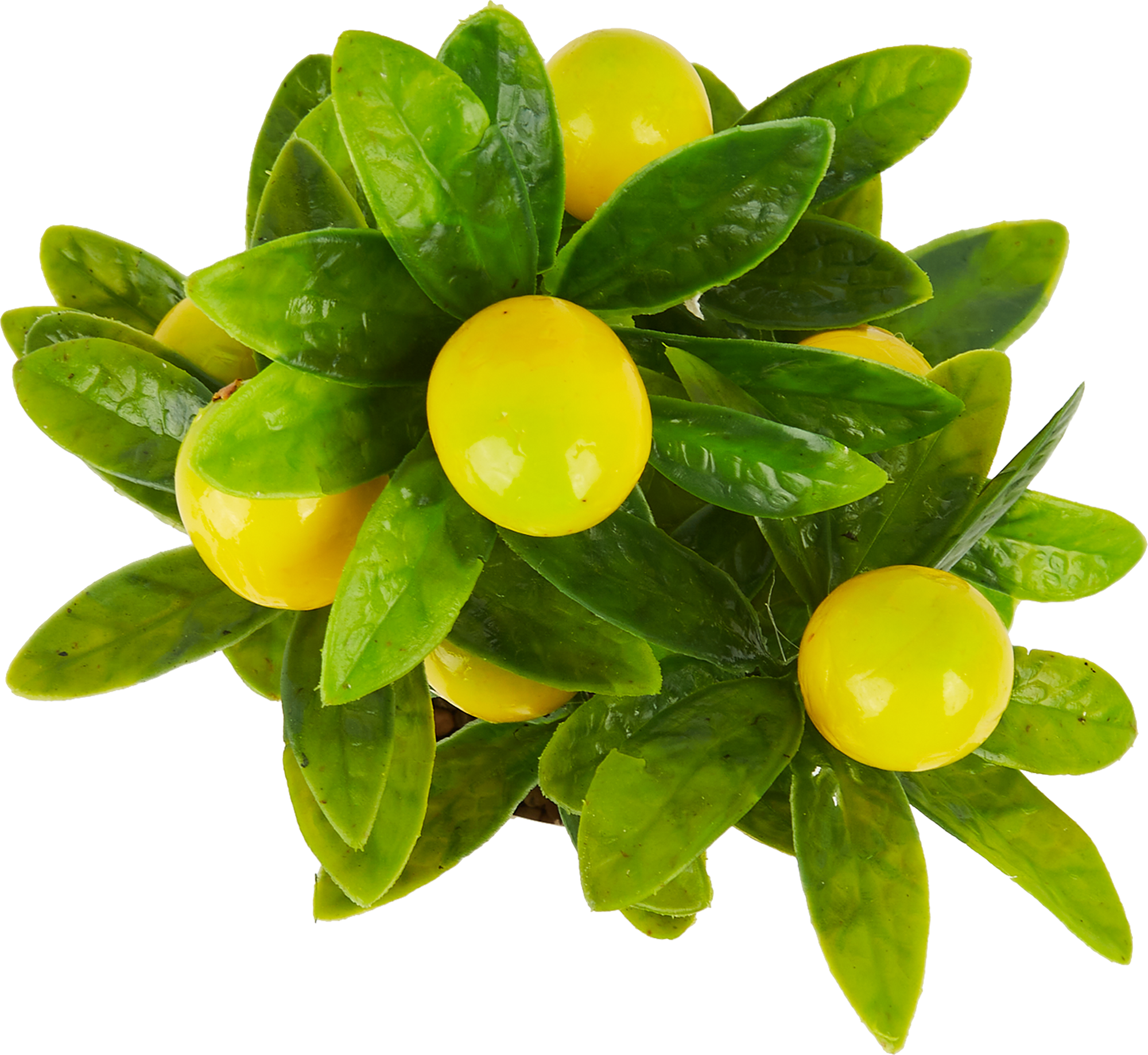 85481269 Искусственное растение Лимон ø16 см полиэстер STLM-0063034 Santreyd  - Вид №1