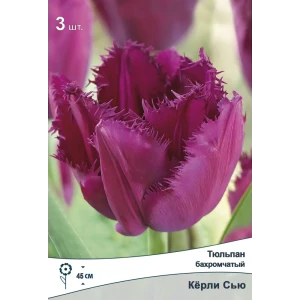 Тюльпан Керли Сью от ПОИСК — нежно-розовые бахромчатые цветы для сада 89381342