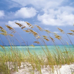 8-515-Ocean-Breeze Фотообои Komar Scenics Edition 2 2.54х3.68 м