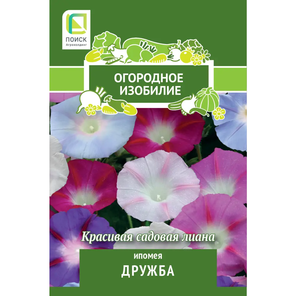 ПОИСК Ипомея Дружба - разноцветный однолетник для солнечных участков 83577521 STLM-1580524