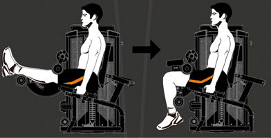 HLE200 Steel flex hope hle200 разгибание ног сидя Steel Flex Hope - Вид №1