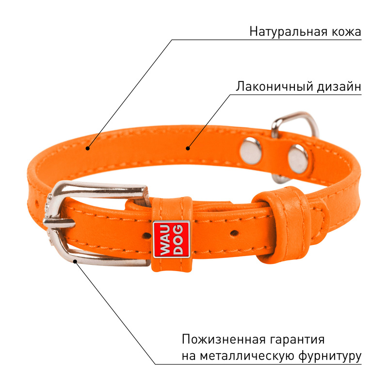 ПР0053778 Ошейник для собак Waudog Glamour без украшений (ширина 12мм, длина 21-29см) оранжевый COLLAR  - Вид №3