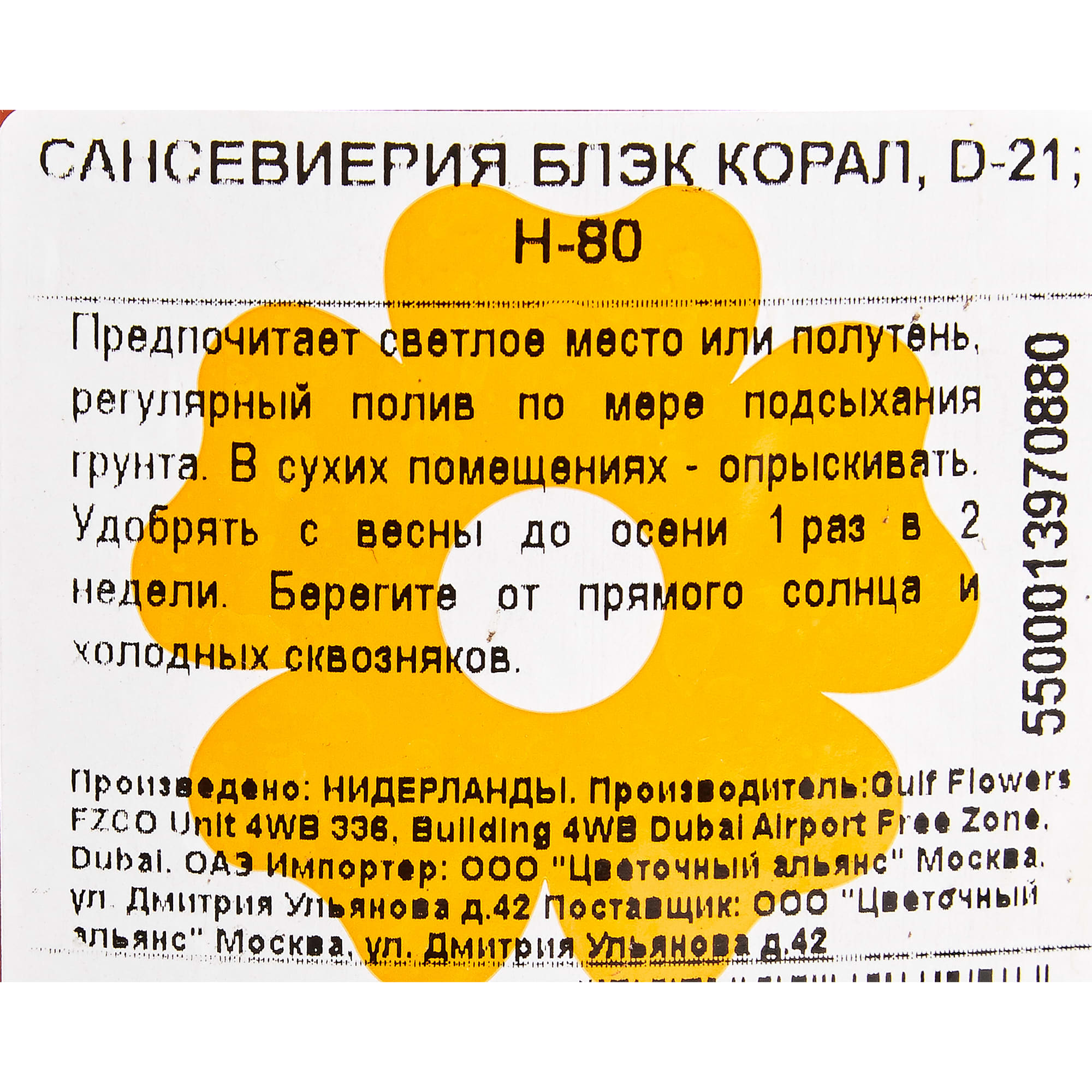 82850378 Сансевиерия "Блэк Корал" 21х80 см Santreyd  - Вид №2