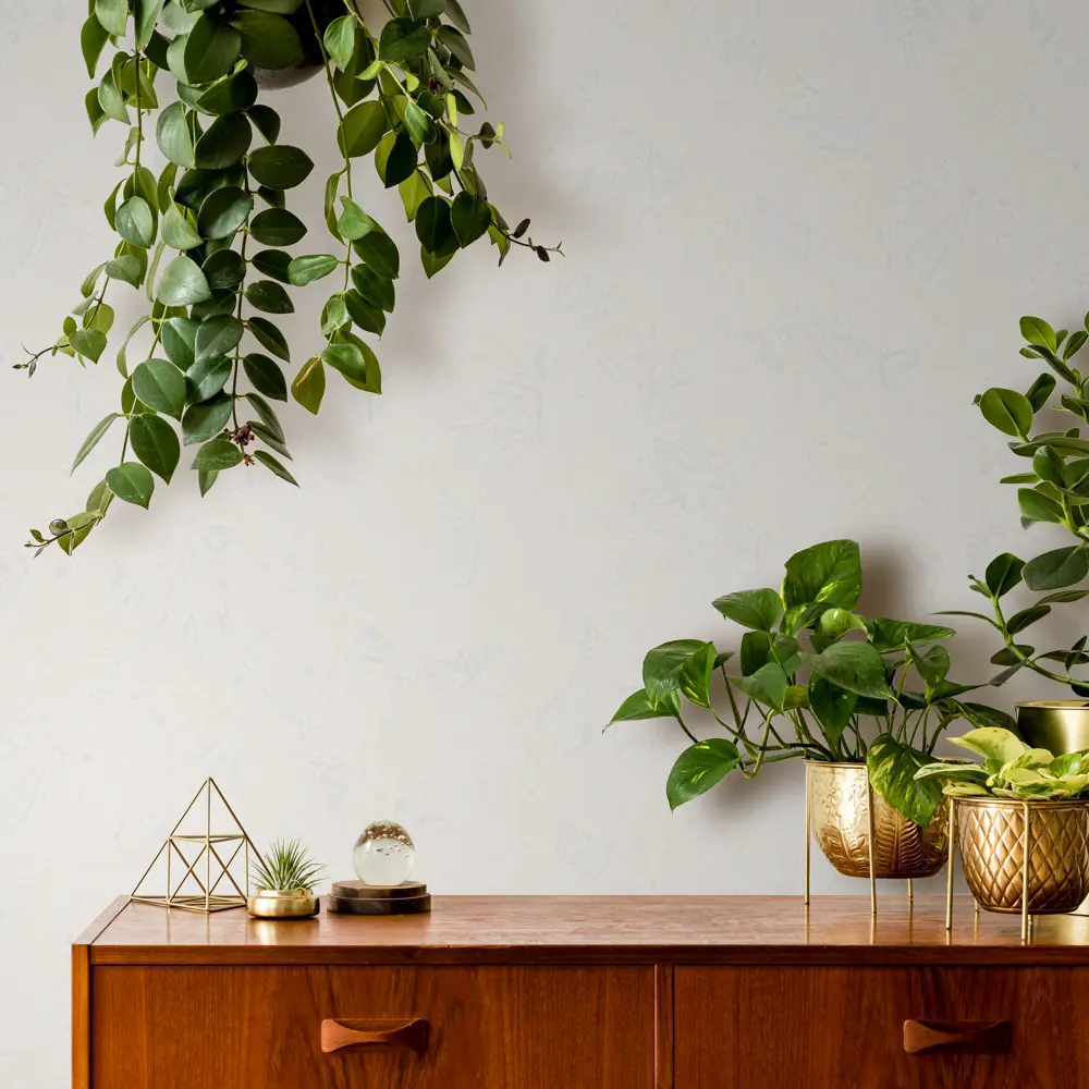 Обои Erismann Tiara серые 1.06 м  ЭР60241-04 STLM-2208914 - Вид №2