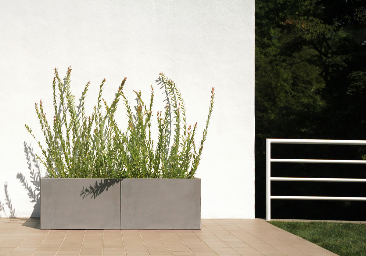 FSRT223 Сеялка для митры  Forms-surfaces  - Вид №3