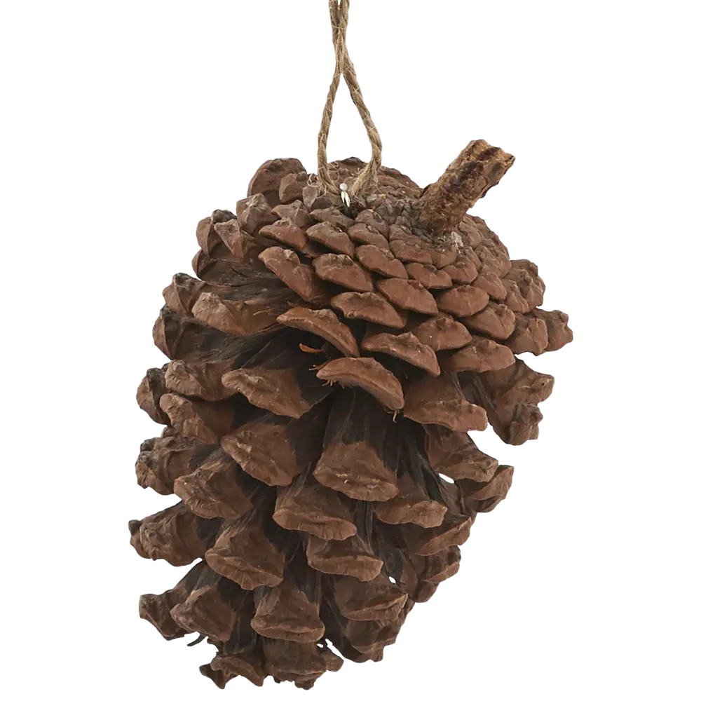 Украшение ёлочное «Шишка», 6-8 см, цвет коричневый Santreyd STLM-2079265