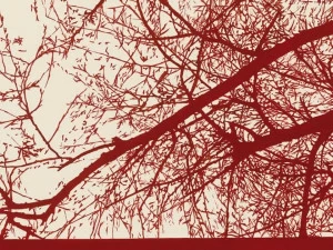 Обои на стену Collezioni d'arte 56096