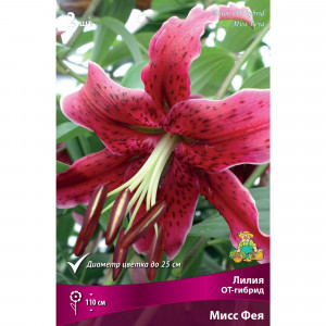 82000189 Лилия ОТ-гибрид «Мисс Фея», высота 50 см, 1 шт.