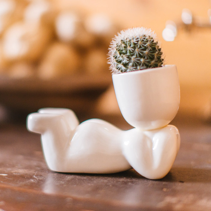 Набор для выращивания eco "Мечтатель" ЭКОЧЕЛОВЕКИ  254576 Белый  - Вид №2