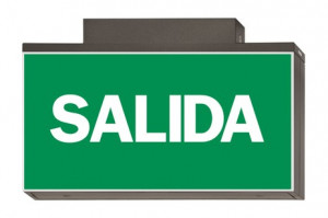 DST-2768 Lisu ceiling-mounted Daisalux Светильники сигнальные Металлический Серый