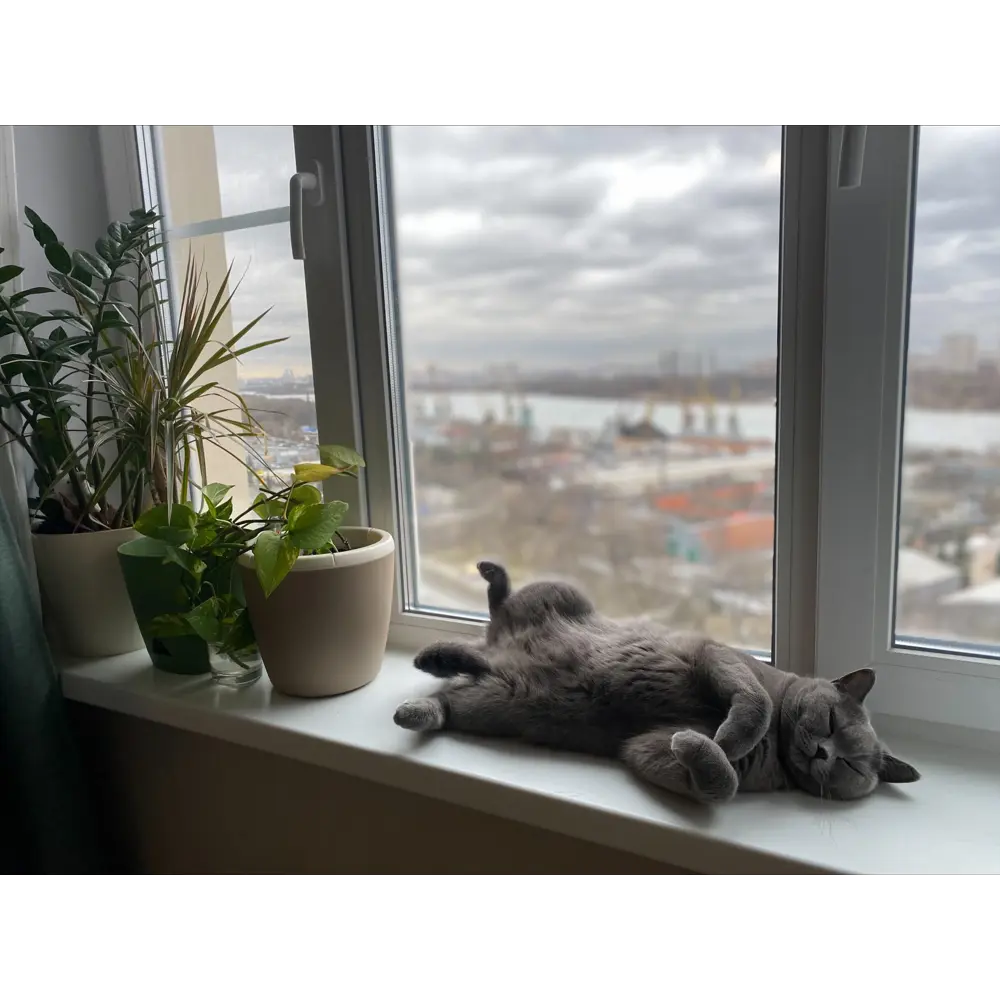 Горшок цветочный с автополивом Ingreen ø16 h18.6 см v2 л пластик бежевый Munchen STLM-2039834 - Вид №6