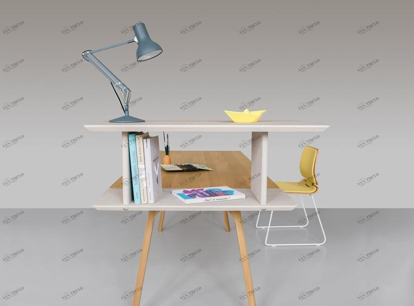 ZEITRAUM Книжный шкаф для офиса из массива дерева Rail sun-id-1392954