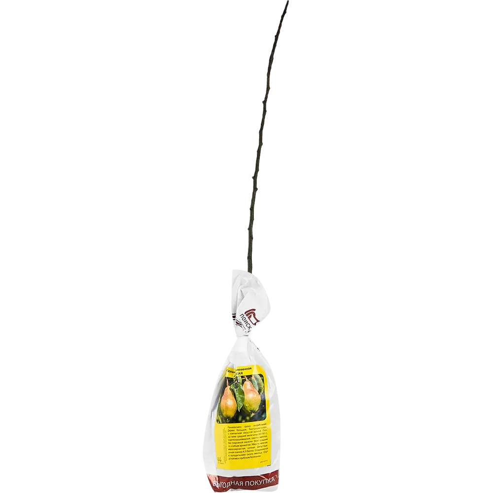 Груша Детская пакет h50 см 89353502 STLM-2033175 Santreyd 