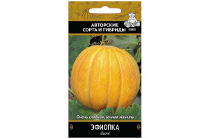 16535305 Семена Дыня Эфиопка 15 шт. 676097 ПОИСК