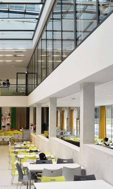 Casala Пластиковые санки Carver 1258-00 - Вид №13