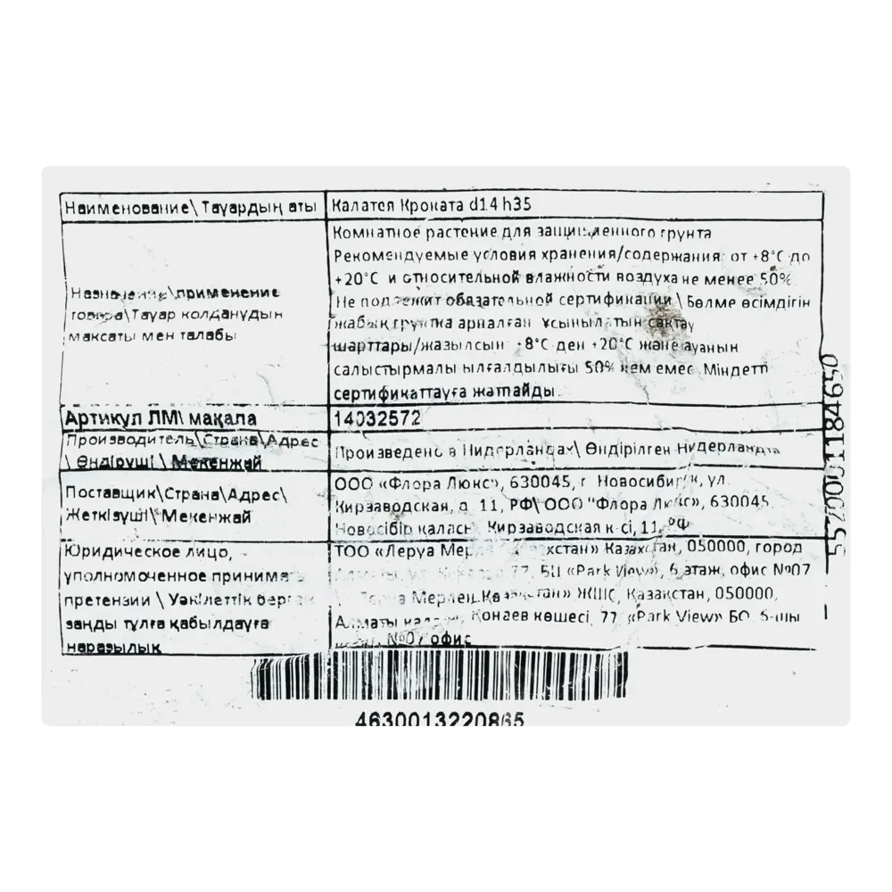 Калатея Кроката 14x35 см 14032572 STLM-2127450 Santreyd  - Вид №3