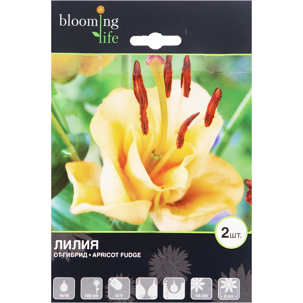 Лилия ОТ-гибрид Эприкот Фьюдж луковица 16/18 2 шт 82120087 STLM-2001544 BLOOMING LIFE 