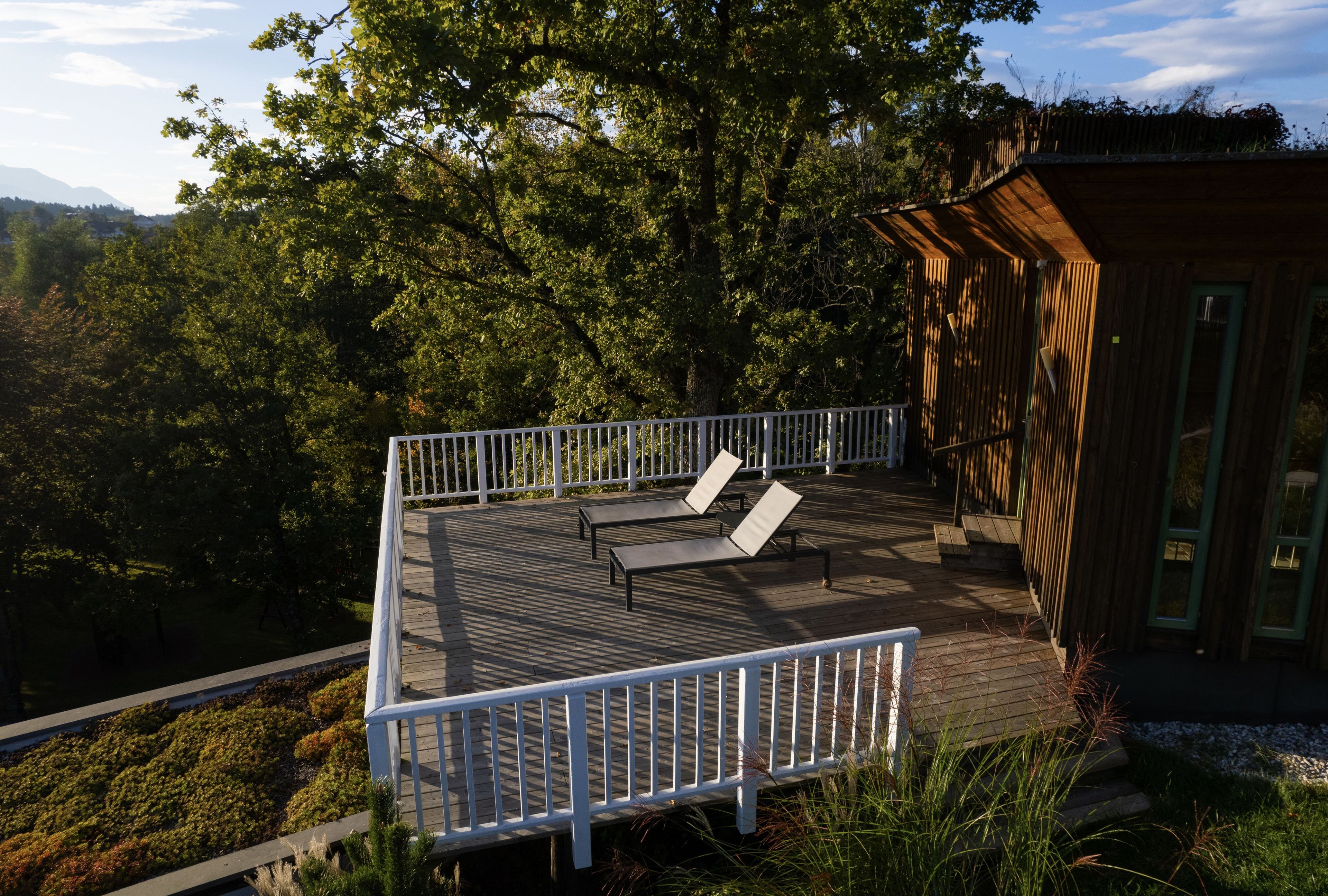 Лежак для сада с колесами DRIGANI SANTIAGO ARCH-00070450 - Вид №4