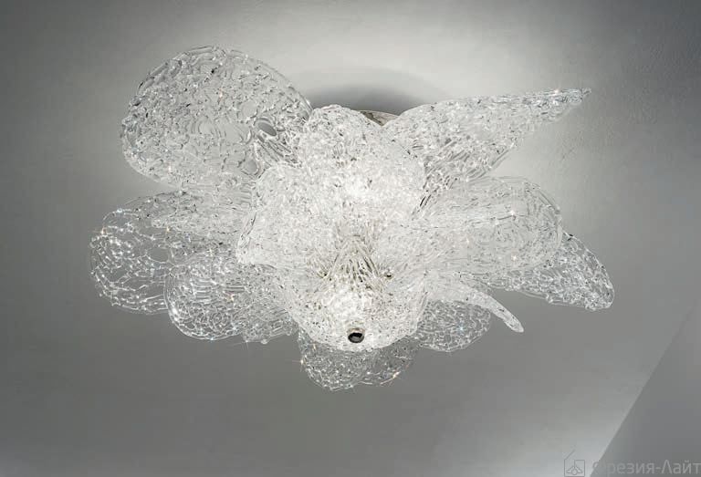 Kolarz 0376.19.5.VF NAOMI универсальный 95257