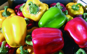 7203 330 a3 Искусственный перец, 9 см, желтый H-andreas