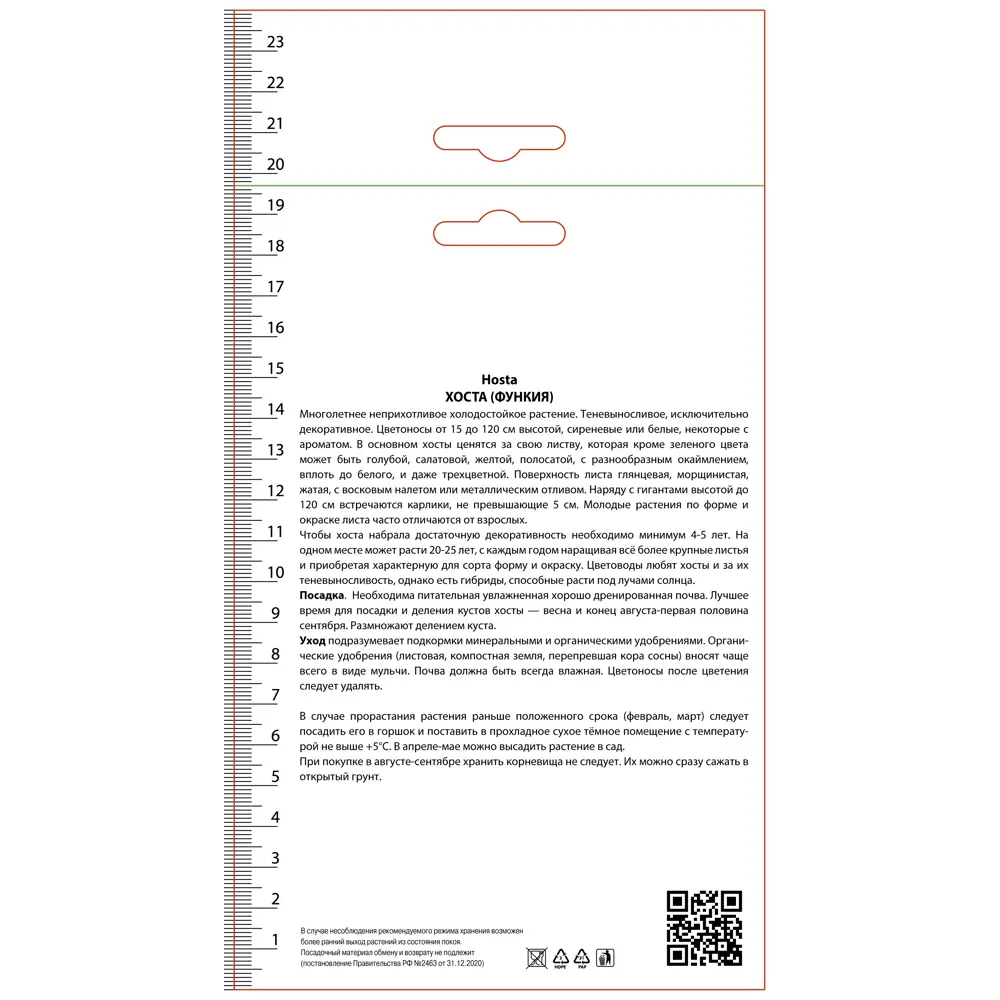Хоста гибридная Пьедмонт Голд ПОИСК STLM-2103462