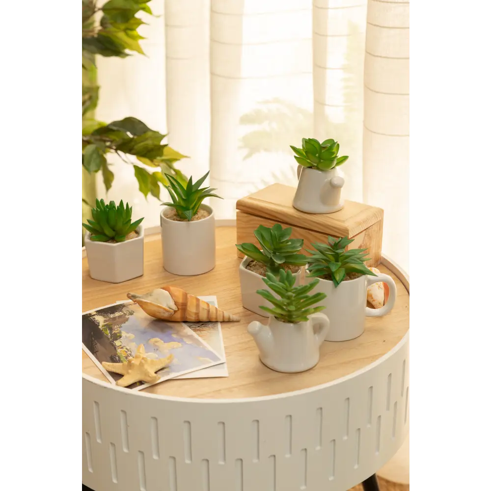 Суккулент микс 4 варианта 12x25 см 82877381 STLM-2020960 Santreyd  - Вид №3