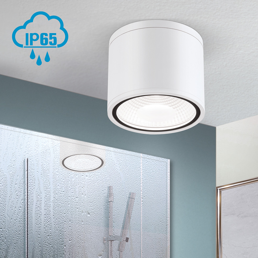 Orion DL 7-665 белый светильник потолочный Sputnik 121616 - Вид №1