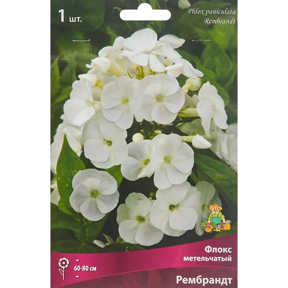 Флокс метельчатый Рембрандт луковица I 88294972 STLM-2108145 Santreyd 